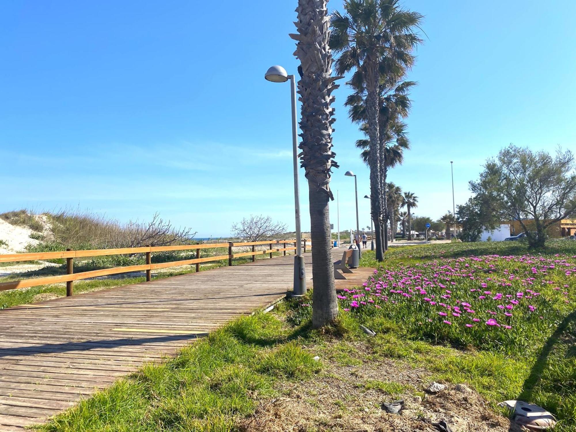 Precioso Apartamento A Tan Solo 300 M De La Playa Pilar de la Horadada Luaran gambar